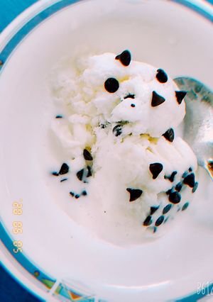 A picture of Vanilla choco chip ice-cream.