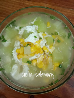 Foto resep Sup Labu Siam