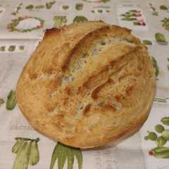 Foto di Pane alveolato senza lievito madre 🍞