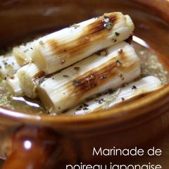 A picture of 5-Minute Grilled and Marinated Leeks.