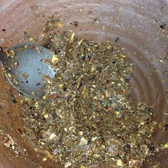 A picture of Jeow Bah aka Spicy Fish Dipping Sauce.