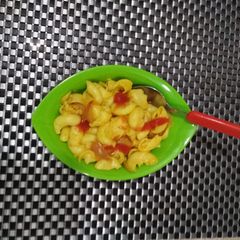 A picture of Macaroni.