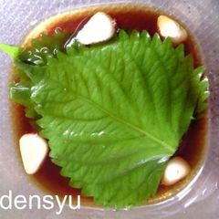 A picture of Soy Sauce and Garlic Pickled Shiso Leaves.
