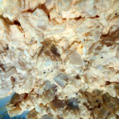 A picture of potatoe and egg salad.