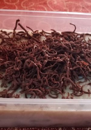 Foto resep Puding Milo Oreo