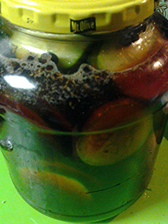 A picture of Dark pickles.
