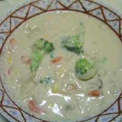 A picture of Vegetarian Soymilk Cream Stew.