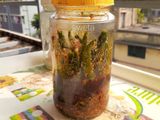লঙকার আচার (Lonkar Aachar recipe in Bengali)
