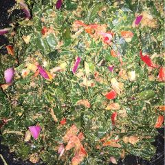 A picture of Traditional moringa salad🥙🥗.