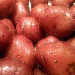 A picture of Red Potatoes with Herbs & Butter.