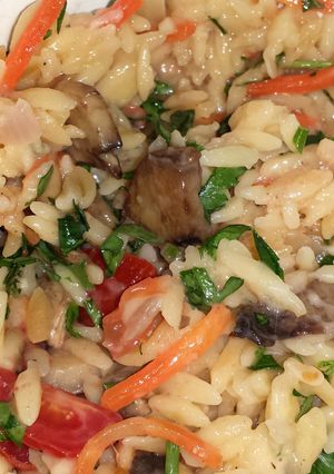 A picture of creamy orzo pasta.
