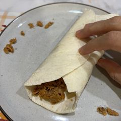 A picture of Tuna burrito.