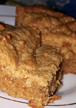 A picture of Peanut Butter Blondies.