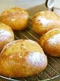Cafe au Lait Bread Rolls