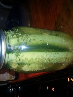 A picture of Pickles.