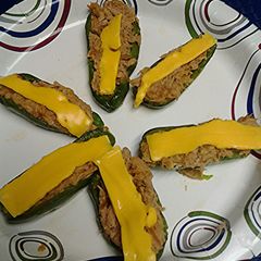 A picture of Jalapeños stuffed with tuna.