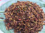 Hình ảnh của châu chấu rang lá chanh