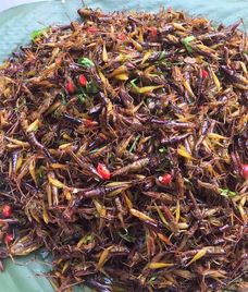 châu chấu rang lá chanh