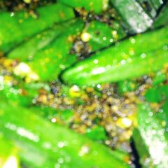 A picture of Bhindi Masala.