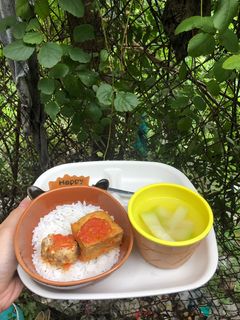 Hình của món Đậu hũ nhồi thịt sốt cà chua.