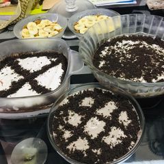 A picture of Oreo delight.