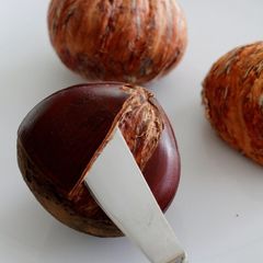 Peel the Outer Shells of Chestnuts with a Paring & Butter Knife A picture of Peel the Outer Shells of Chestnuts with a Paring & Butter Knife.