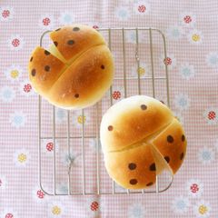 A picture of Ladybug Bread Rolls.