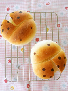 A picture of Ladybug Bread Rolls.