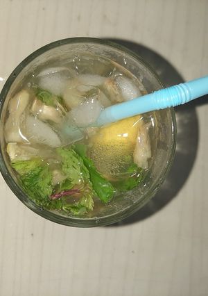 ફોદીના મોઇતો(phudina no mojito in Gujarati) રેસીપી મુખ્ય ફોટો