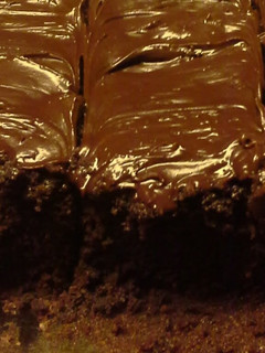 A picture of Brownie frosting.