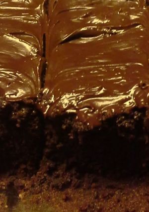 A picture of Brownie frosting.