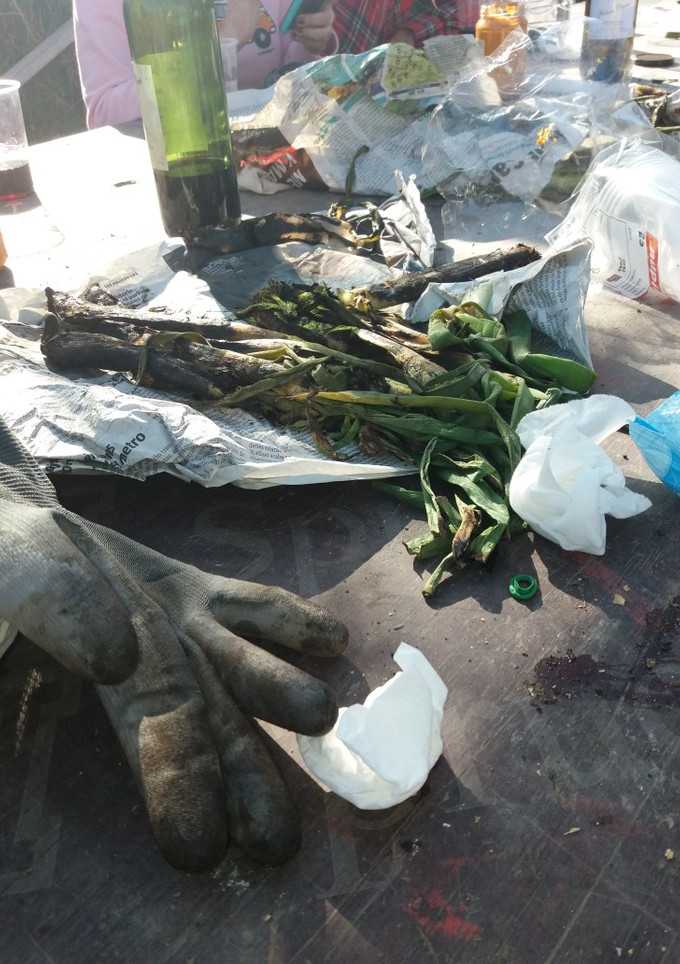 Una foto de Calçots