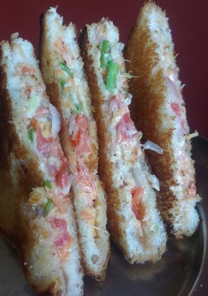 A picture of Veg mayo sandwich.