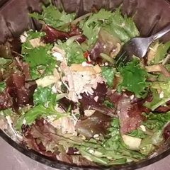 A picture of Crunchy Cranberry Chicken Salad.