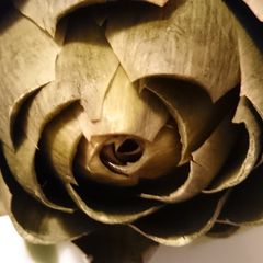 A picture of Flavorful Artichoke.