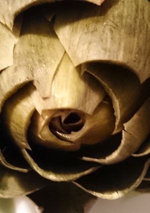 A picture of Flavorful Artichoke.