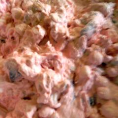 A picture of sunshine ambrosia fruit salad.