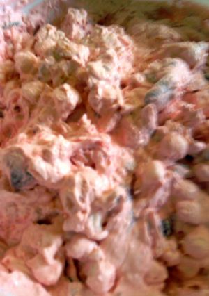 A picture of sunshine ambrosia fruit salad.