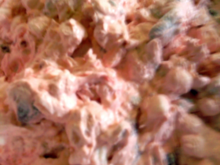 Easy Steps to Prepare Recipes sunshine ambrosia fruit salad the Can Spoil the Tongue Can Pamper Your Tongue.