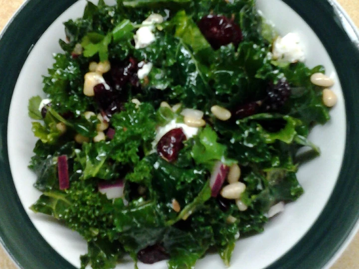 Easy Ways Make|Recipe} Cranberry Kale Salad with Honey Lemon Vinaigrette the Delicious