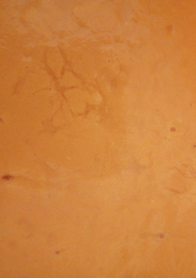 Una foto de Crema de calabaza