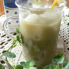 A picture of Matcha Calpico.