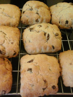 A picture of Irmgards Raisin Vanilla Scones ☺.