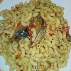 A picture of Macaroni.
