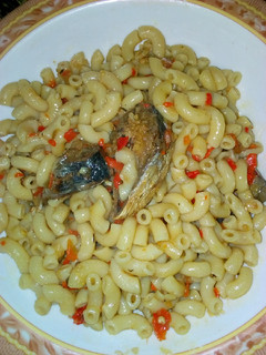 A picture of Macaroni.