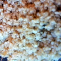 A picture of Perfectly fluffy quinoa.
