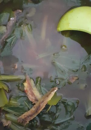 Foto resep Lempah kuning sawi ikan laba