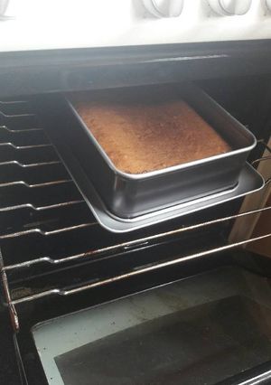 A picture of Very fudgy brownie.