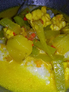 Foto resep Lontong sayur labu siam