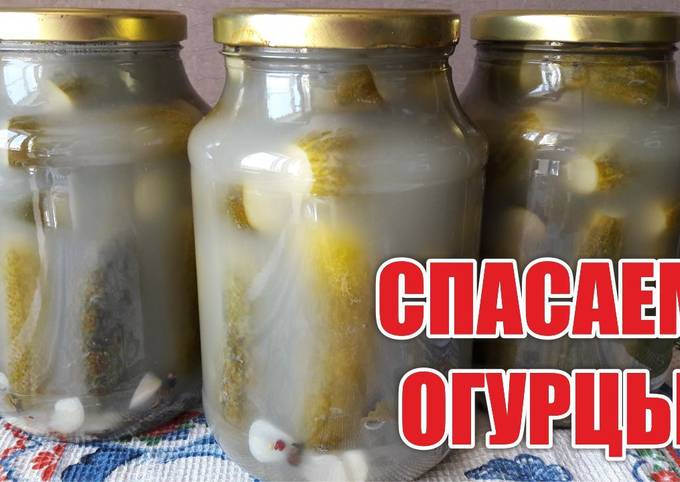 Как реанимировать огурцы консервированные помутнел. Как реанимировать огурцы консервированные помутнел